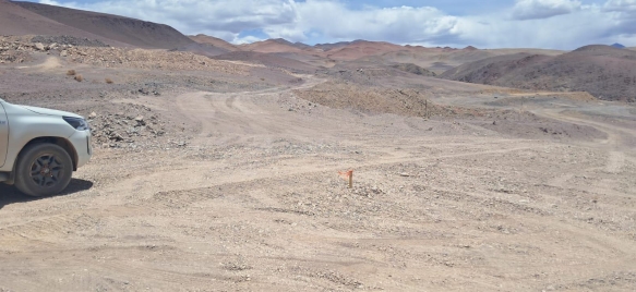 Desierto Photo 12